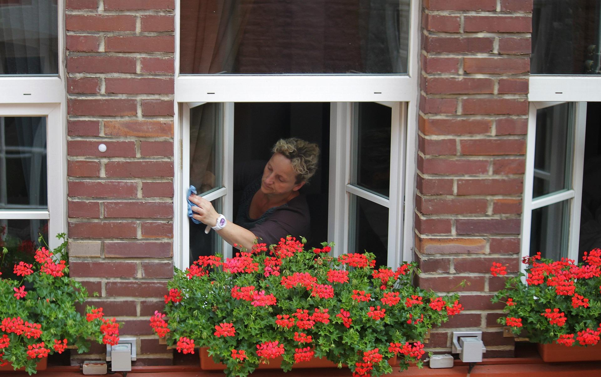 clean-windows-394158_1920
